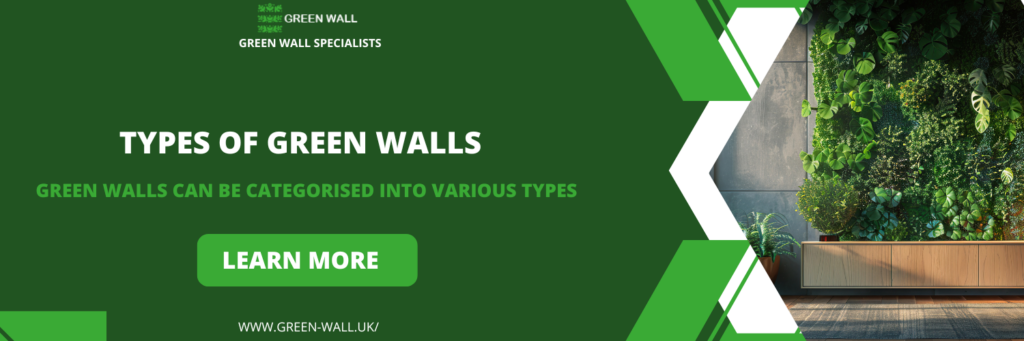 Types of Green Walls in West Midlands